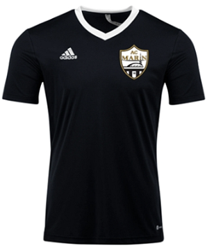 adidas entrada jersey